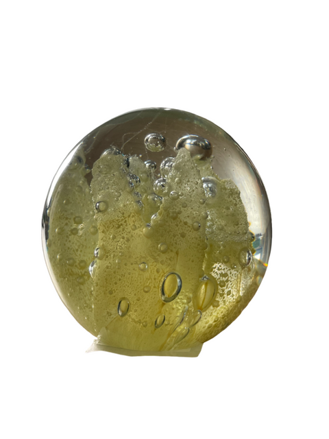 Ornament Glas Koralle Gelb, Blumen Kugel, Briefbeschwerer Glaskugel, Meer Pflanzen Ornament Ø8x8cm
